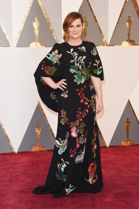 Premiile OSCAR 2016 Amy Poehler